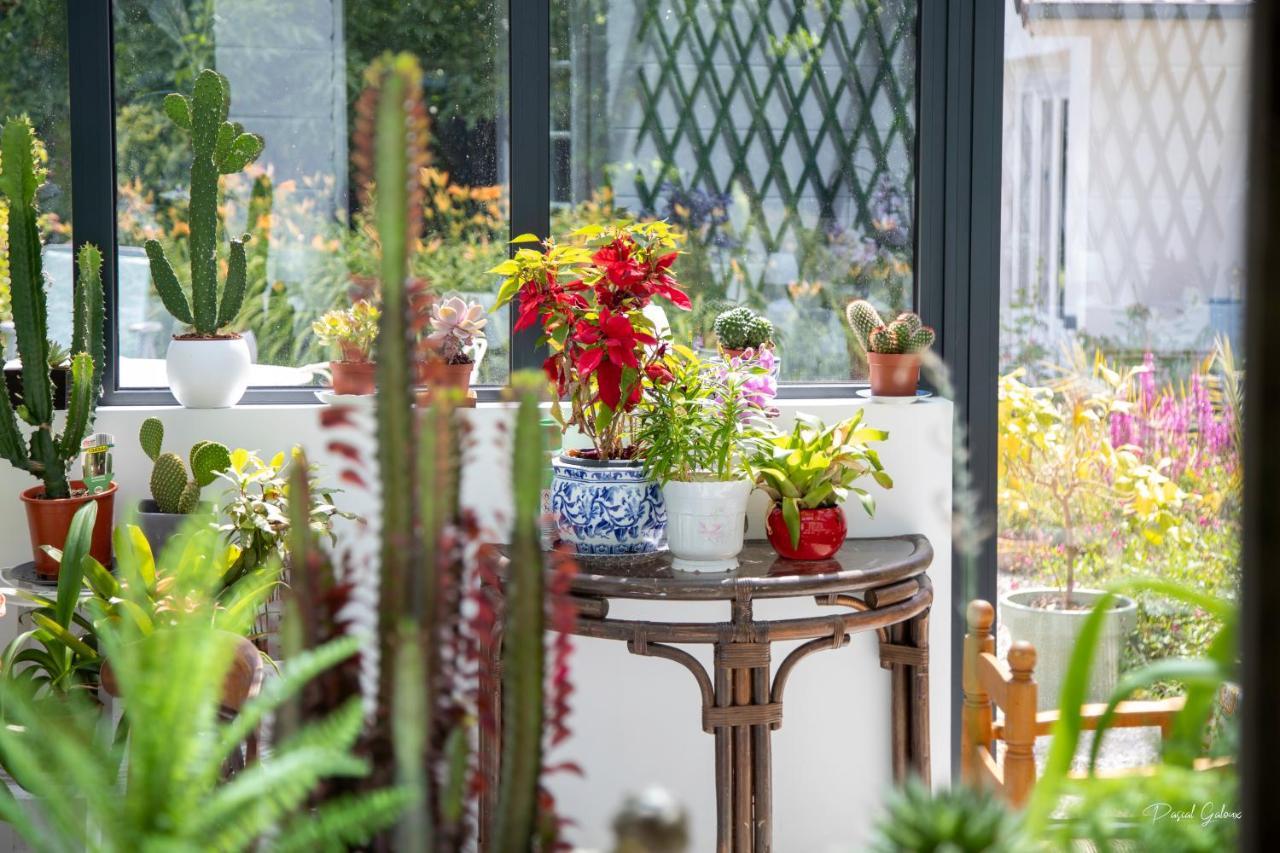 Villa Marguerite 65 Rue Legout Lesage 76260 Ponts Et Marais 外观 照片